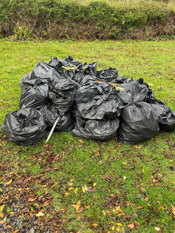 Litter Pick Autumn 2024